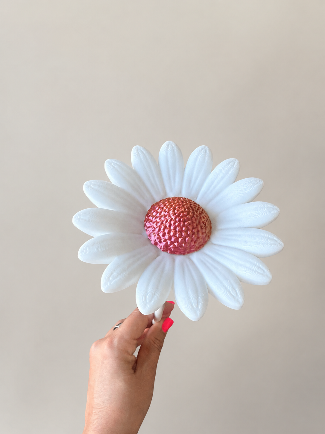 Margerite – zeitlose Blütendeko für dein Zuhause 🌼