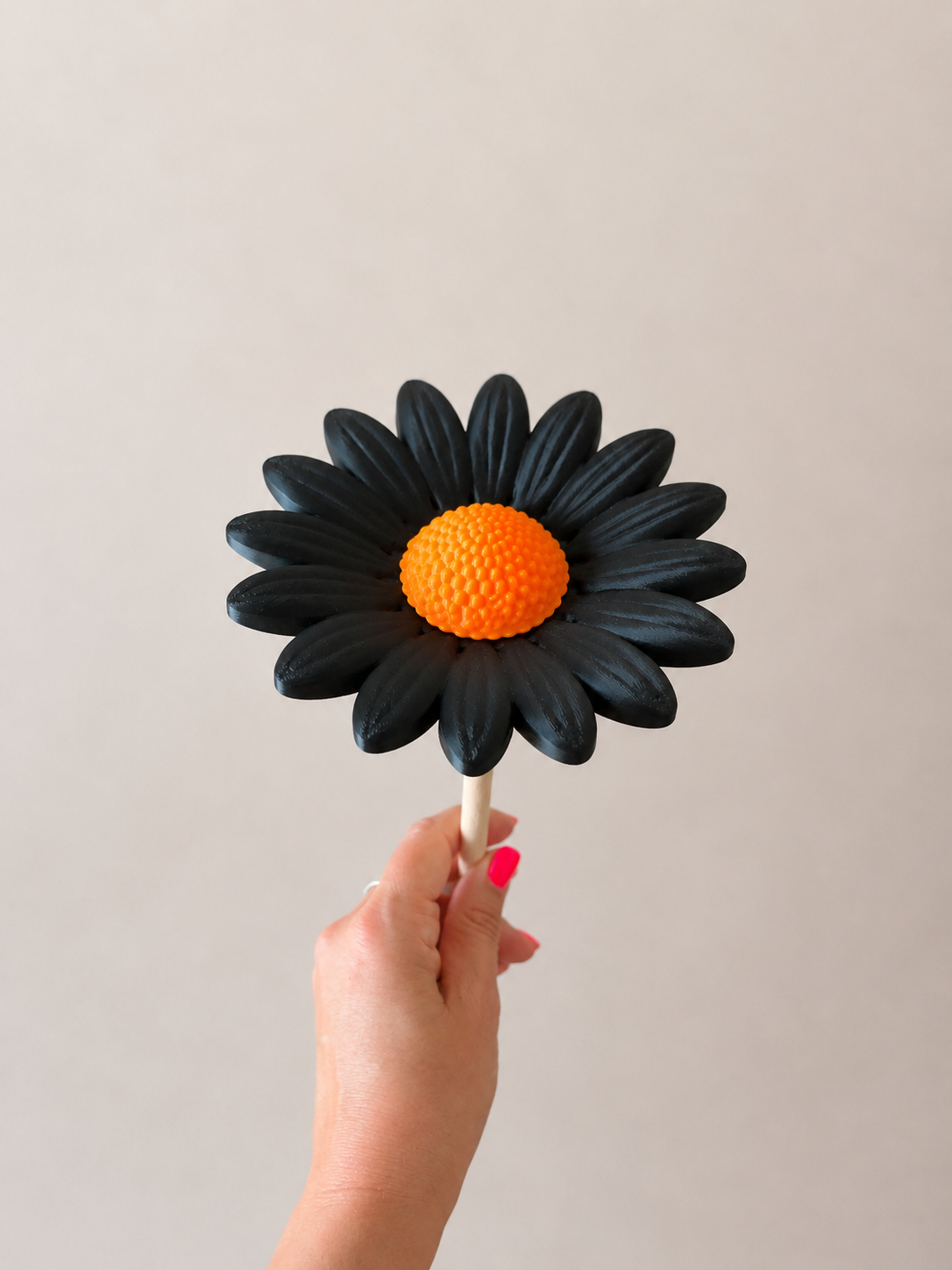 Margerite – zeitlose Blütendeko für dein Zuhause 🌼