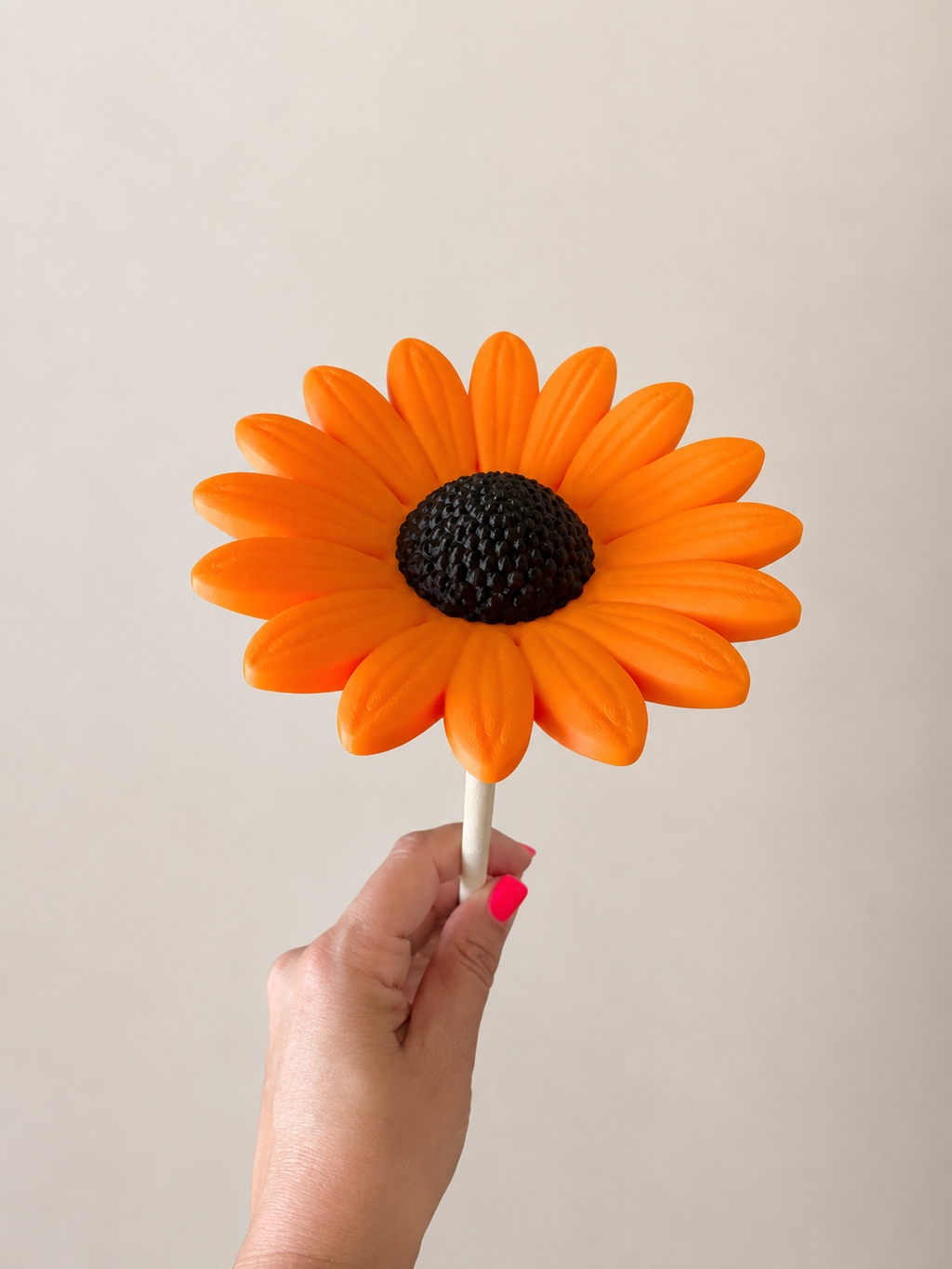 Margerite – zeitlose Blütendeko für dein Zuhause 🌼
