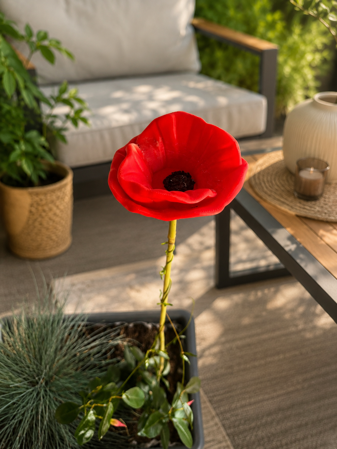 Mohnblume mit Insektentränke