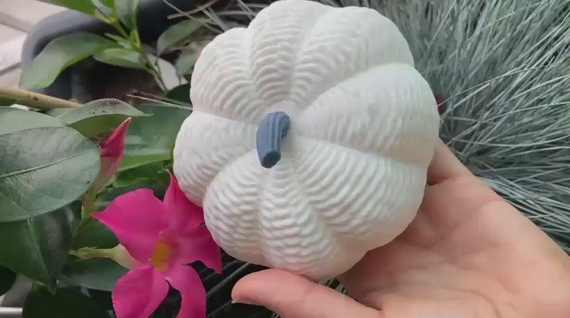 Kürbis „Knitty“ klein
